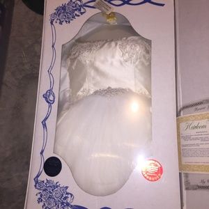 Wedding Dress & Veil